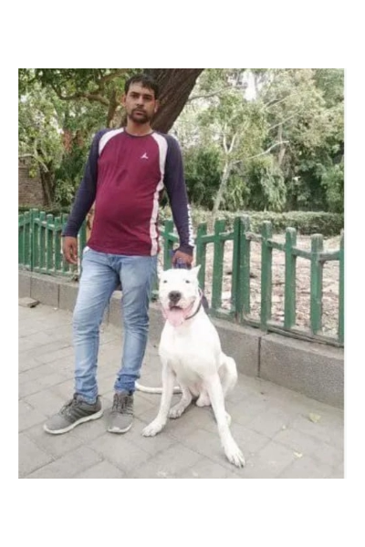 Ravi Sharma Dog Trainer